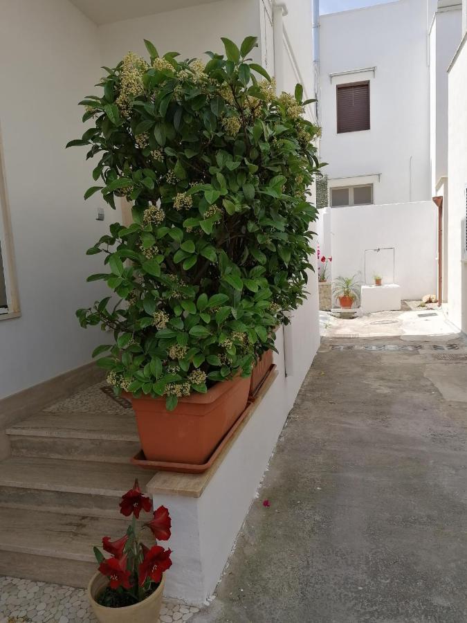 Casa Low Cost Tuglie Ngoại thất bức ảnh